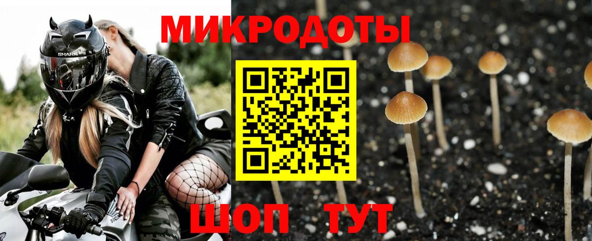 Псилоцибиновые грибы мицелий Тавда